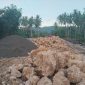 pembangunan tiga jembatan baja di Kecamatan Obi, Kabupaten Halmahera Selatan senilai Rp.6,7 miliar terindikasi memakai matrial  diluar Rancangan Anggaran Biaya (RAB)