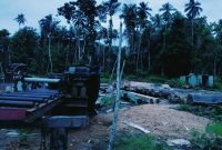 Foto: Aktivitas industri kayu CV Candra jaya perkasa 