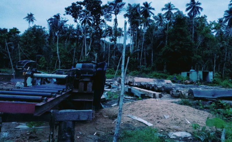 Foto: Aktivitas industri kayu CV Candra jaya perkasa 