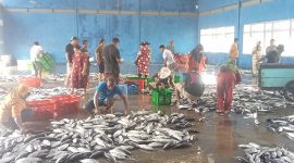 Foto: Pasar ikan Panamboang 