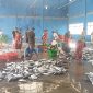 Foto: Pasar ikan Panamboang 