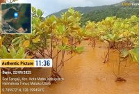 Foto: Lokasi Operasi PT Nusa Karya Arindo (PT NKA) di Kabupaten Halmahera Timur, Maluku Utara.