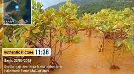 Foto: Lokasi Operasi PT Nusa Karya Arindo (PT NKA) di Kabupaten Halmahera Timur, Maluku Utara.