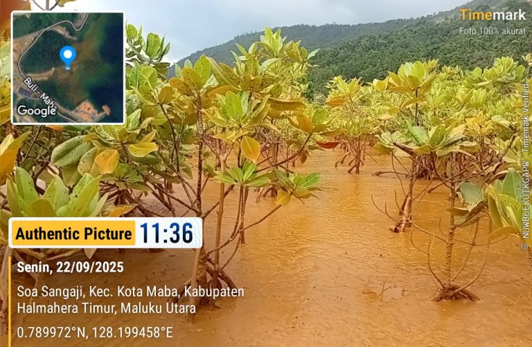 Foto: Lokasi Operasi PT Nusa Karya Arindo (PT NKA) di Kabupaten Halmahera Timur, Maluku Utara.