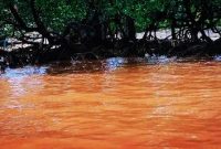 Foto: Limbah Nikel BPT Bartra Putra Mulia (BPM).