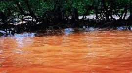 Foto: Limbah Nikel BPT Bartra Putra Mulia (BPM).