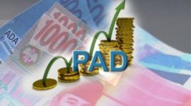 Foto: Ilustrasi PAD