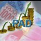Foto: Ilustrasi PAD
