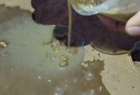 Foto, puluhan Belatung Di Takjil Karyawan PT.IWIP