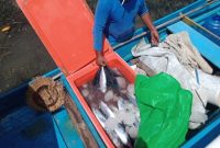 Foto: Hasil dari Kelompok Nelayan