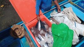 Foto: Hasil dari Kelompok Nelayan 