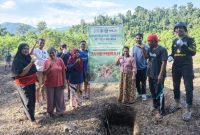 Foto: Kelompok Tani Desa Wayamiga 