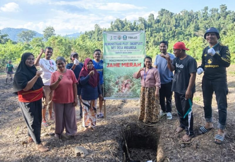 Foto: Kelompok Tani Desa Wayamiga 