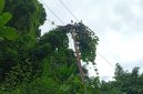 Foto: Istimewa 