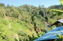 Foto: Lokasi Tambang emas kusubibi 