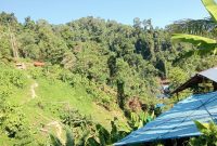 Foto: Lokasi Tambang emas kusubibi 