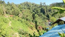 Foto: Lokasi Tambang emas kusubibi 