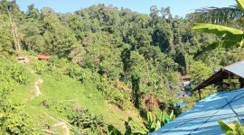Foto: Lokasi Tambang emas kusubibi 