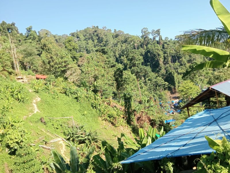 Foto: Lokasi Tambang emas kusubibi 