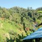 Foto: Lokasi Tambang emas kusubibi 