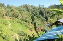 Foto: istimewa 