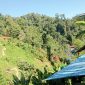 Foto: istimewa 
