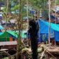 Foto: Tambang Emas di Desa Kusubibi Kabupaten Halmahera Selatan 