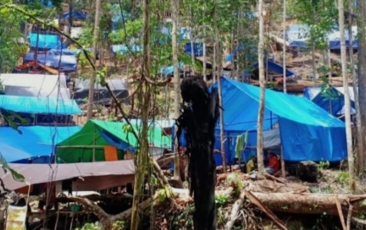 Foto: Tambang Emas di Desa Kusubibi Kabupaten Halmahera Selatan 