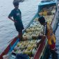 Foto: pemuataan BBM bersubsidi milik Kepala Desa Sali 