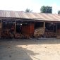 Foto: Somel milik Mas Tris di Desa Buton 