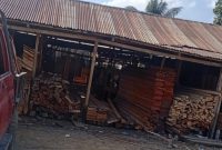 Foto: Pangakalan Kayu Milik tris di Desa buton