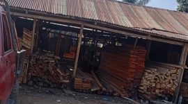 Foto: Pangakalan Kayu Milik tris di Desa buton