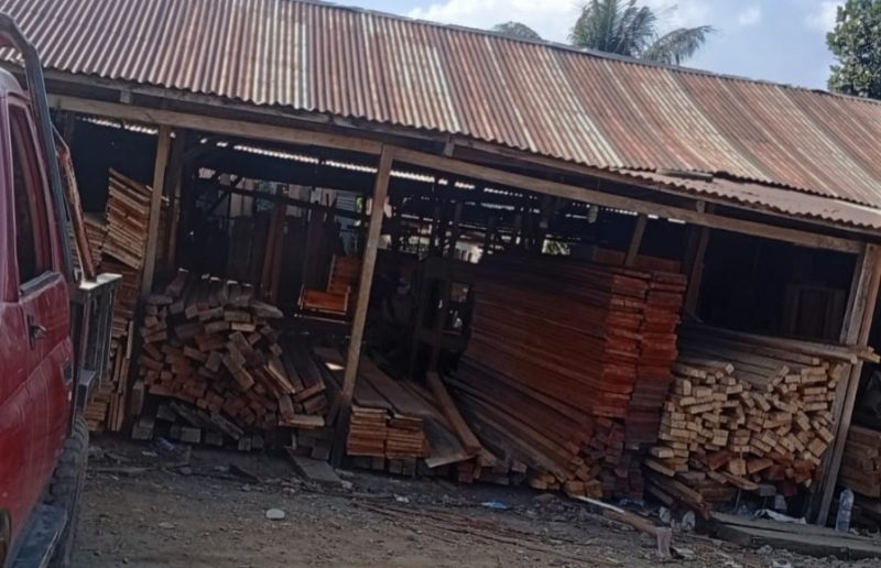 Foto: Pangakalan Kayu Milik tris di Desa buton